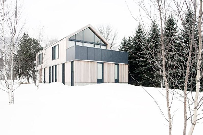 Fațada unei case de țară în stil scandinav - fotografie