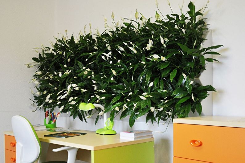 Napravite zidni dekor - Biljke