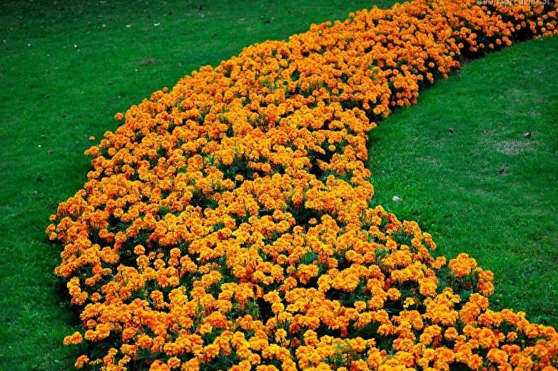 Rabatka - gėlių lova prie kotedžo, kraštovaizdžio dizaino idėjos
