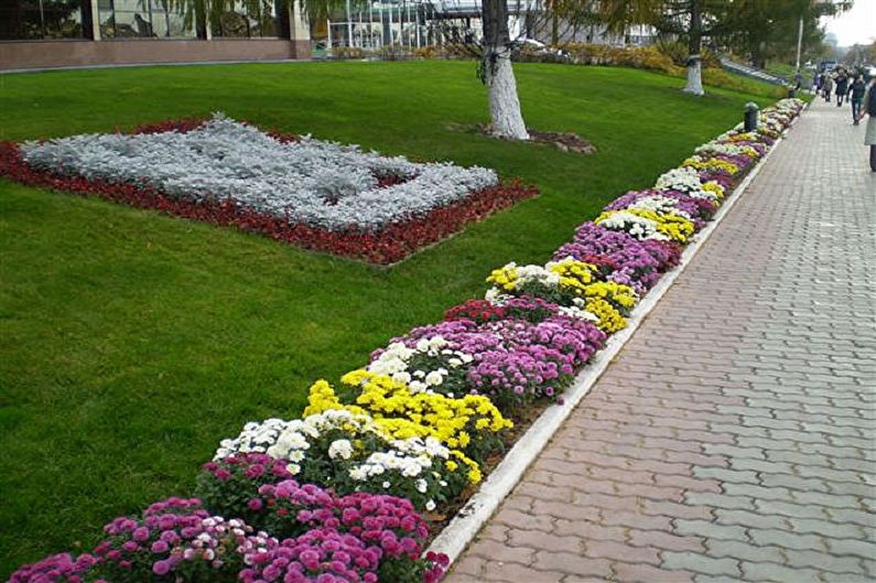 Rabatka - Patul de flori la cabană, idei pentru amenajarea peisajului
