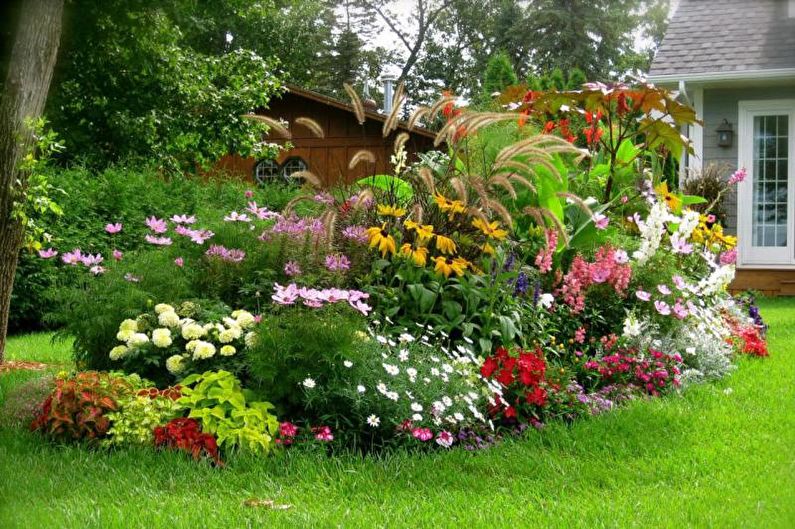 Mixborder - canteiro de flores na casa de campo, idéias para paisagismo