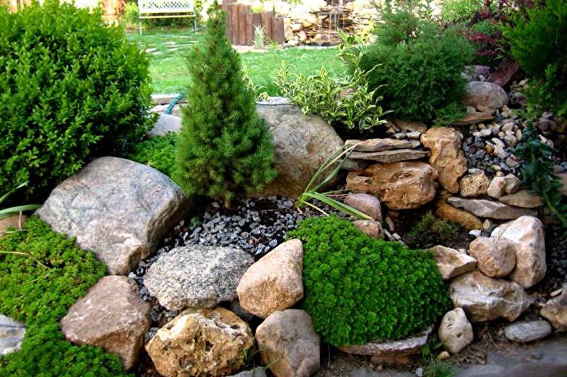Камена башта - Цвјетњак у викендици, идеје за пејзажни дизајн