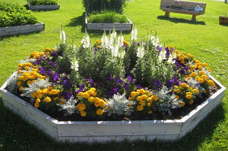 Macizos de flores modulares - Macizo de flores en el país, ideas para el diseño del paisaje