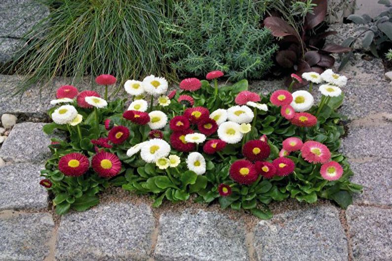 Modular flower beds - Flowerbed in the country, ideas for landscape design