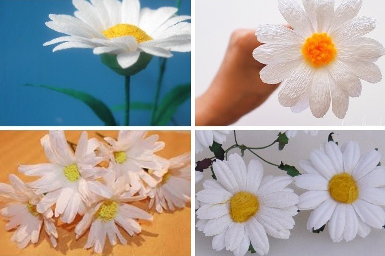 ดอกเดซี่ - ดอกไม้กระดาษ DIY