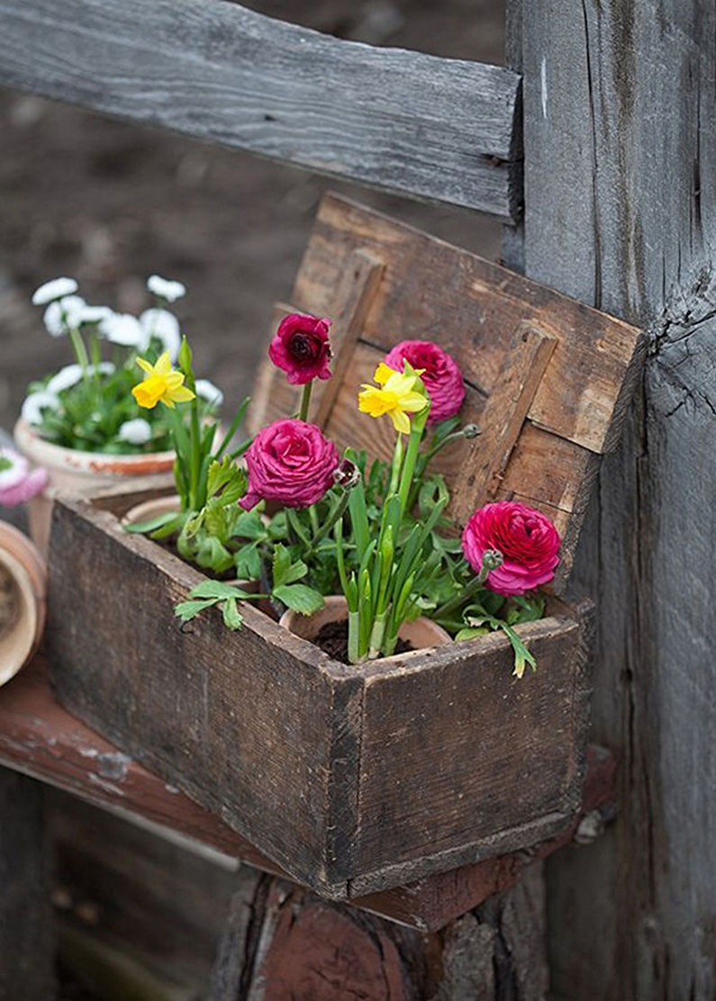 Ziedi vasarnīcai - ziedu dārzs, izmantojot senas lietas