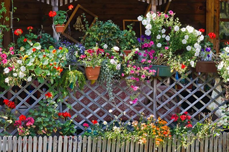 Цветя за градината - Вертикална цветна градина