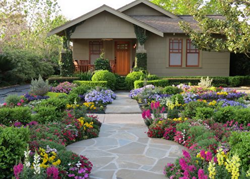 Цветя за лятна резиденция: характеристики, видове, идеи за цветна градина