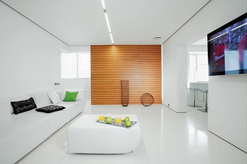 التصميم الداخلي لغرفة معيشة بمساحة 20 مترًا مربعًا - صورة فوتوغرافية