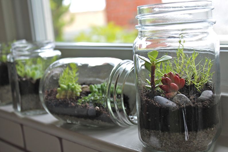 DIY Room Decor - Flaskträdgård eller Florarium