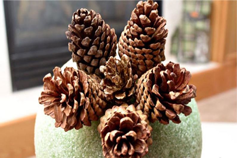 DIY topiary mula sa cones