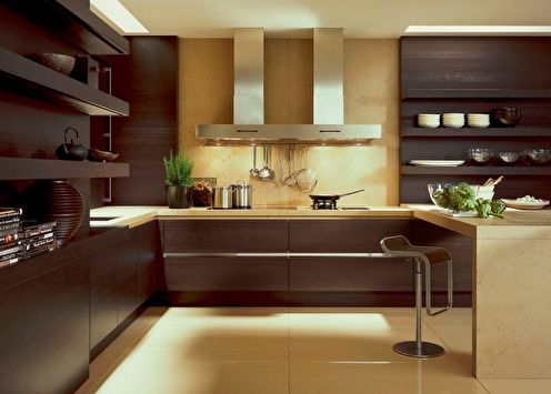 Brūnā virtuve: 80 foto dizaina idejas