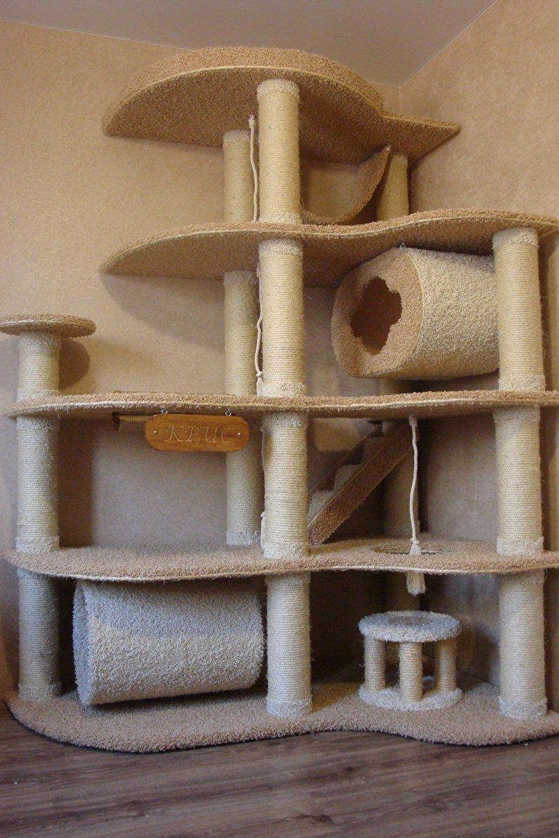 Cat House - Mga Kompleks ng Laro