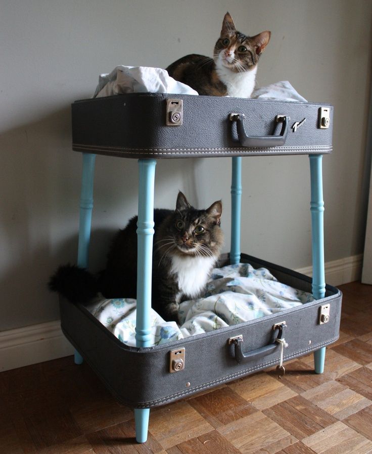 Casă de pisici DIY - fotografie