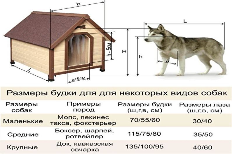 DIY Aviary for Dog - Box
