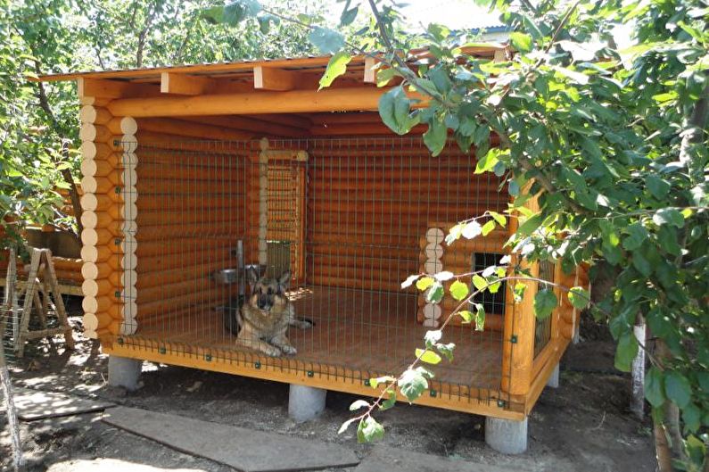 DIY aviary for hunder - foto