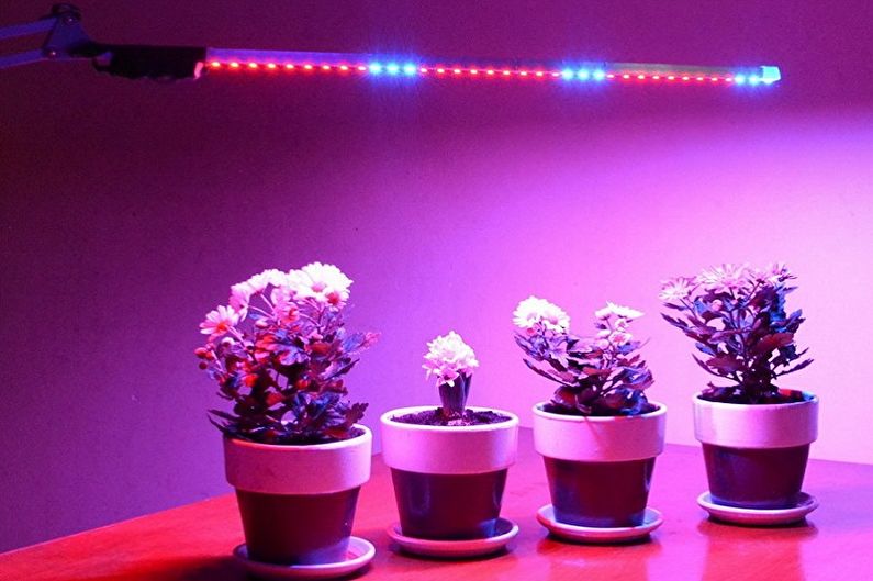 Augalų lempos - LED fitolampos