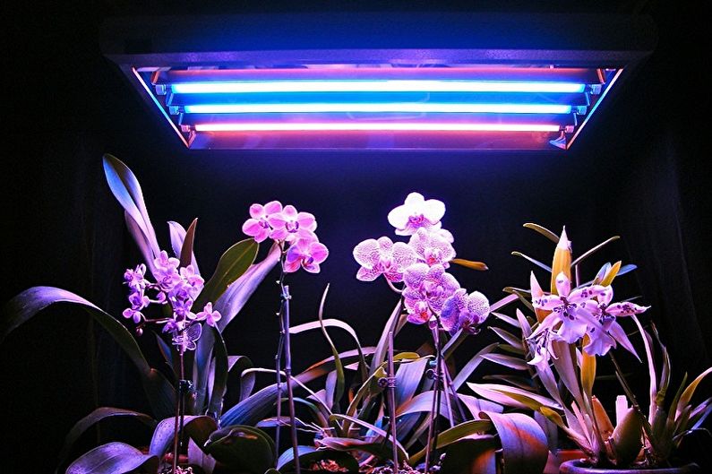 Лампи за растения - Флуоресцентни лампи