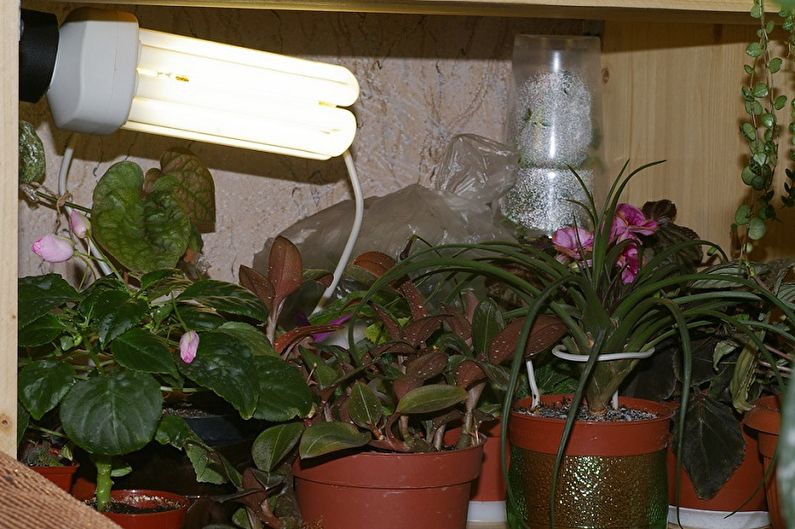 Növényi lámpák - Energiatakarékos lámpák