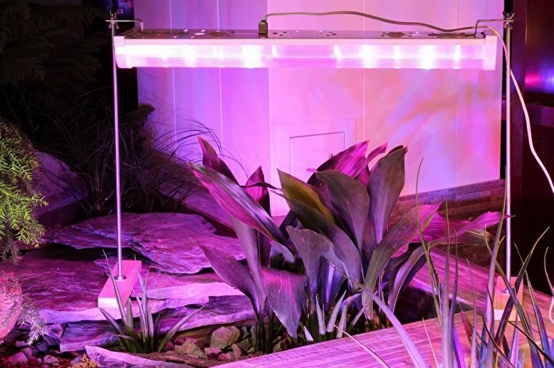 Lampy roślinne - lampy UV