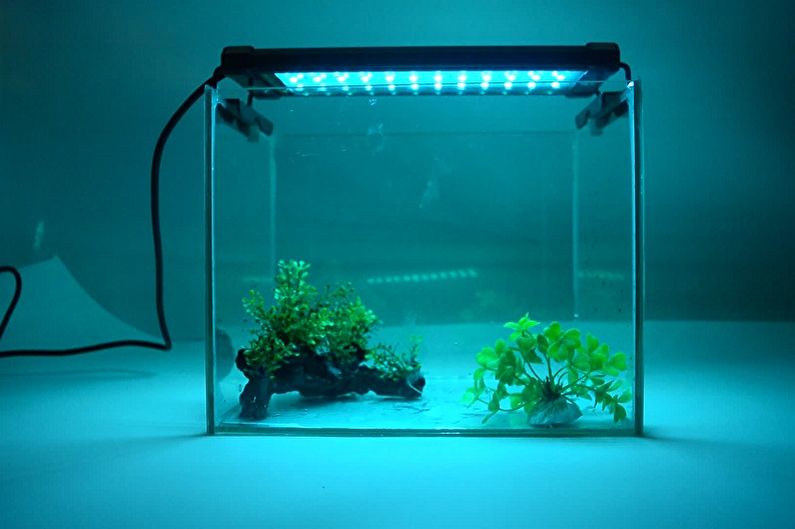Augalų lempos - akvariumo lempos