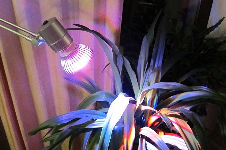 Како одабрати лампу за биљке
