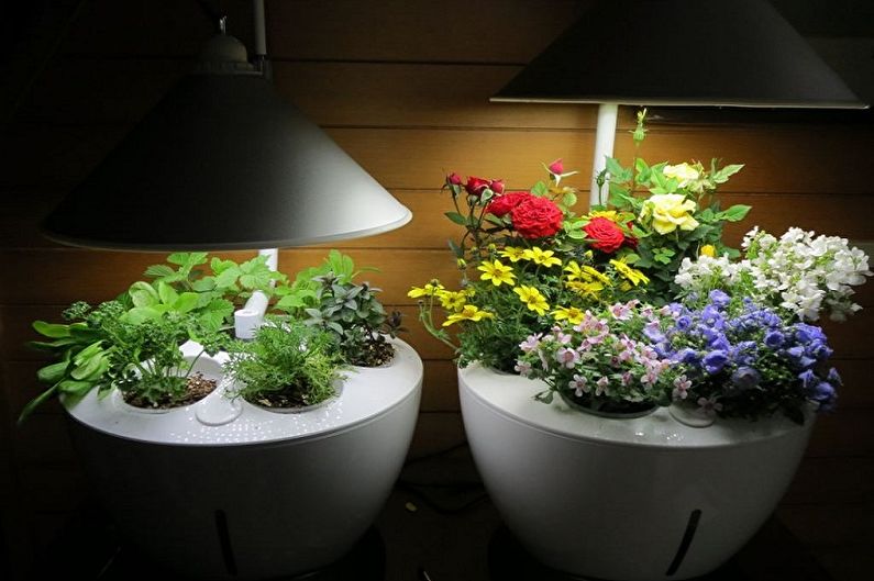 Лампе за биљке - фото