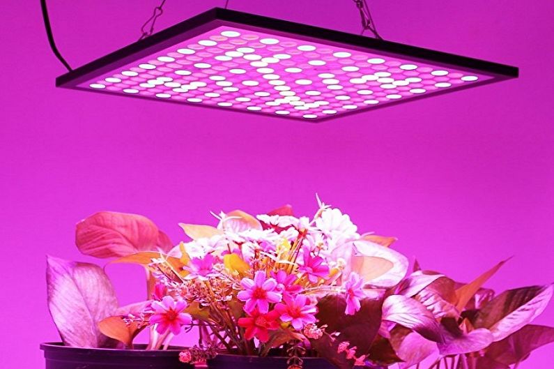 Lampes pour plantes - photo