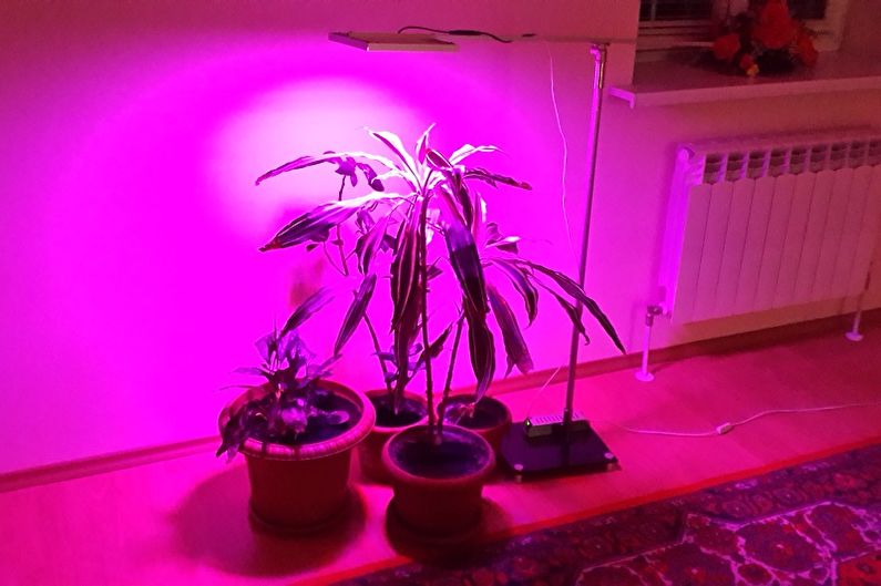 Лампе за биљке - фото