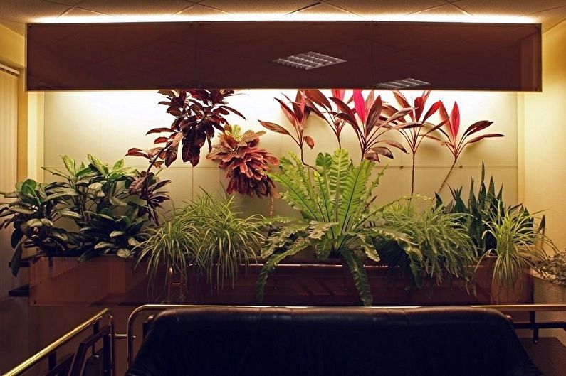 Svjetiljke za biljke - foto