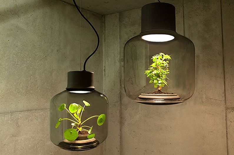 Lampes pour plantes - photo