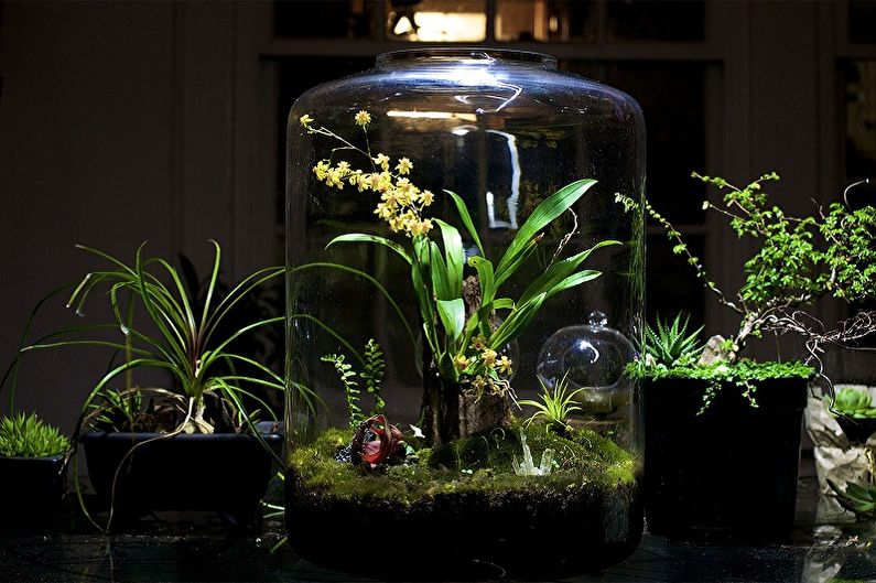 DIY Florarium - esőerdő