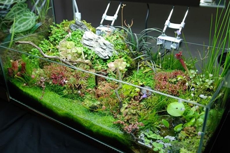 DIY Florarium - esőerdő