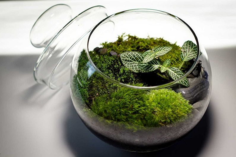 DIY Florarium - Florarium med mossa
