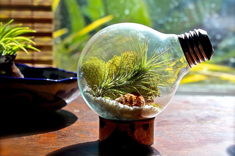 DIY Florarium - Em uma lâmpada