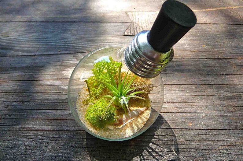 DIY Florarium - في المصباح الكهربائي