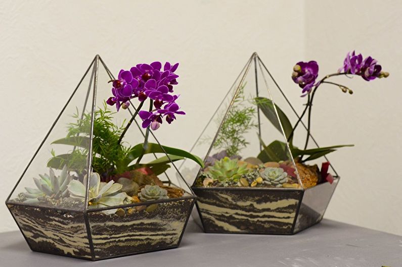 DIY Florarium - Mga ideya sa Larawan