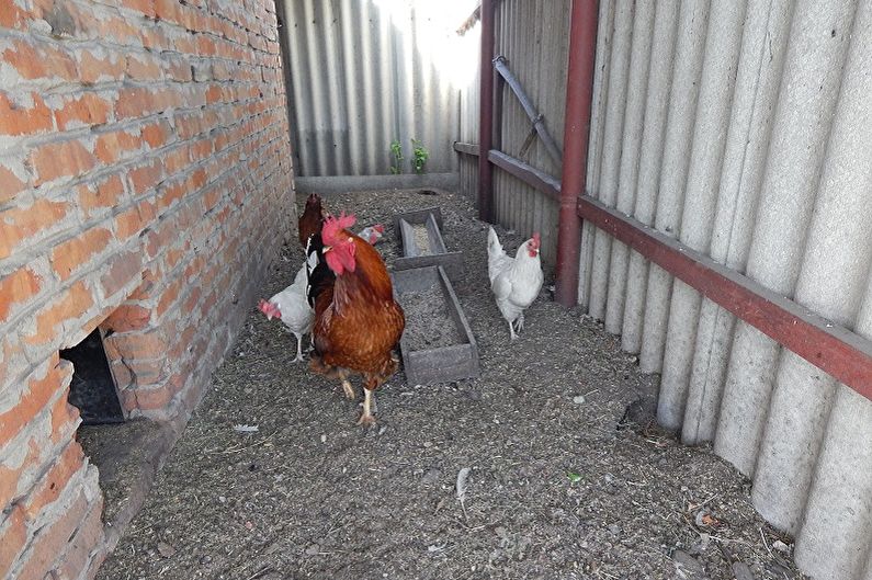 Gör-det-själv-stadier för att bygga ett kycklingsko - Byggnadsmaterial