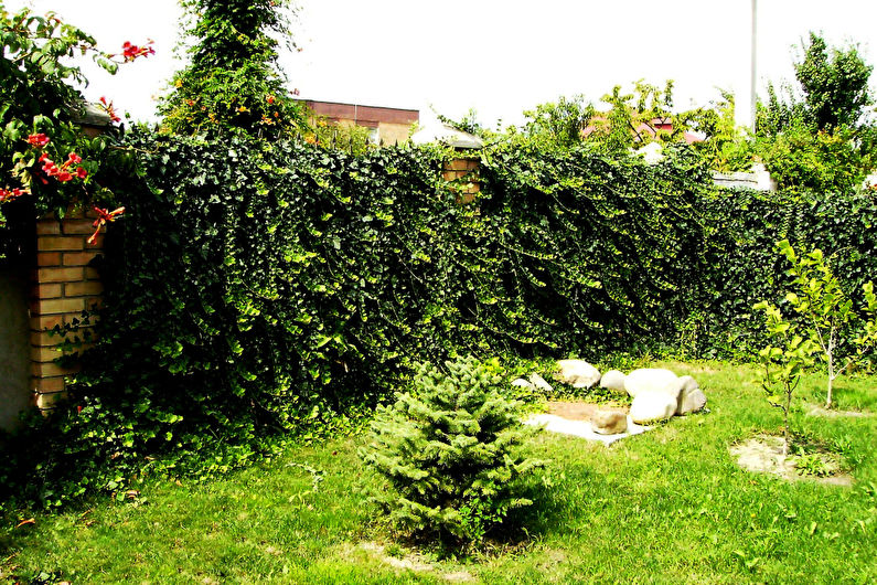 „Pasidaryk pats“ sodo dekoracijos - tvoros ir tvoros
