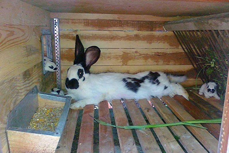 DIY králičí klece - foto