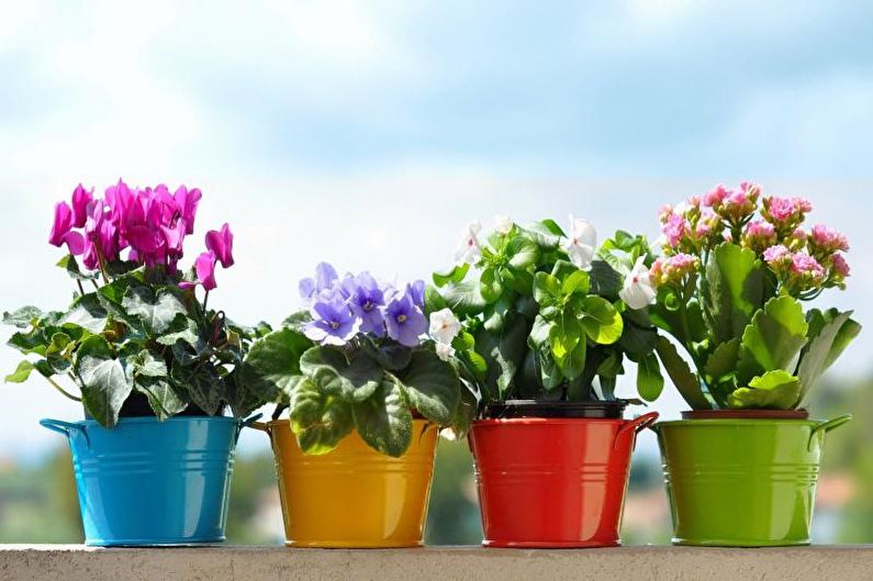 Pot bunga DIY - foto