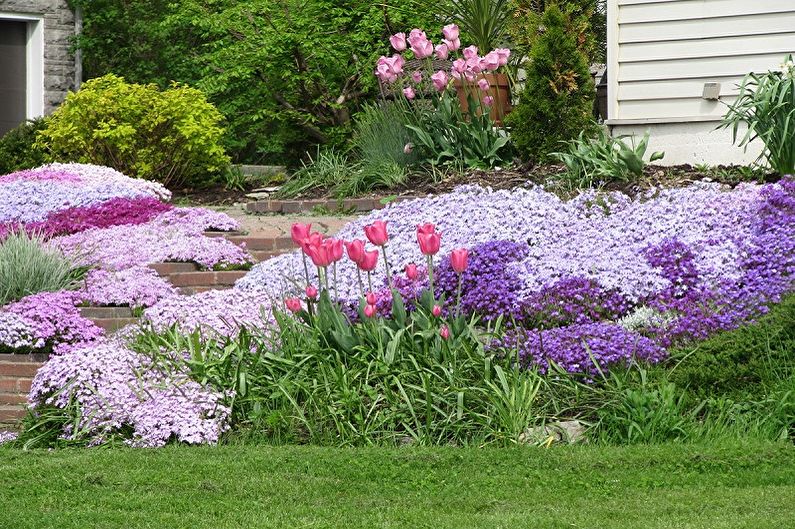 Daugiamečių gėlių sodui ir vasarai - sodinimo nauda