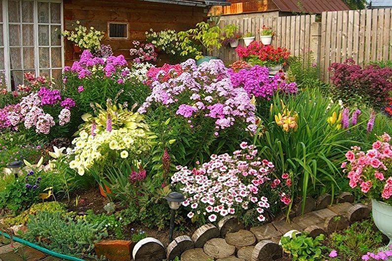Vytrvalé kvety do záhrady a záhrady - foto