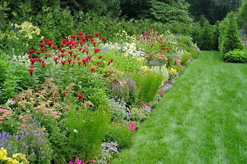 Vytrvalé květiny pro zahradu a zahradu - foto
