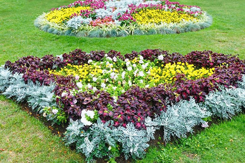 Πολυετή λουλούδια για τον κήπο και τον κήπο - φωτογραφία
