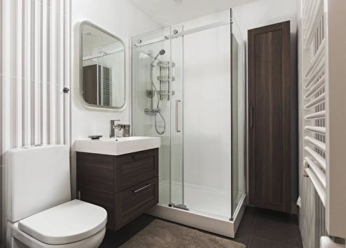 Salle de bain avec douche (85 photos): idées de design