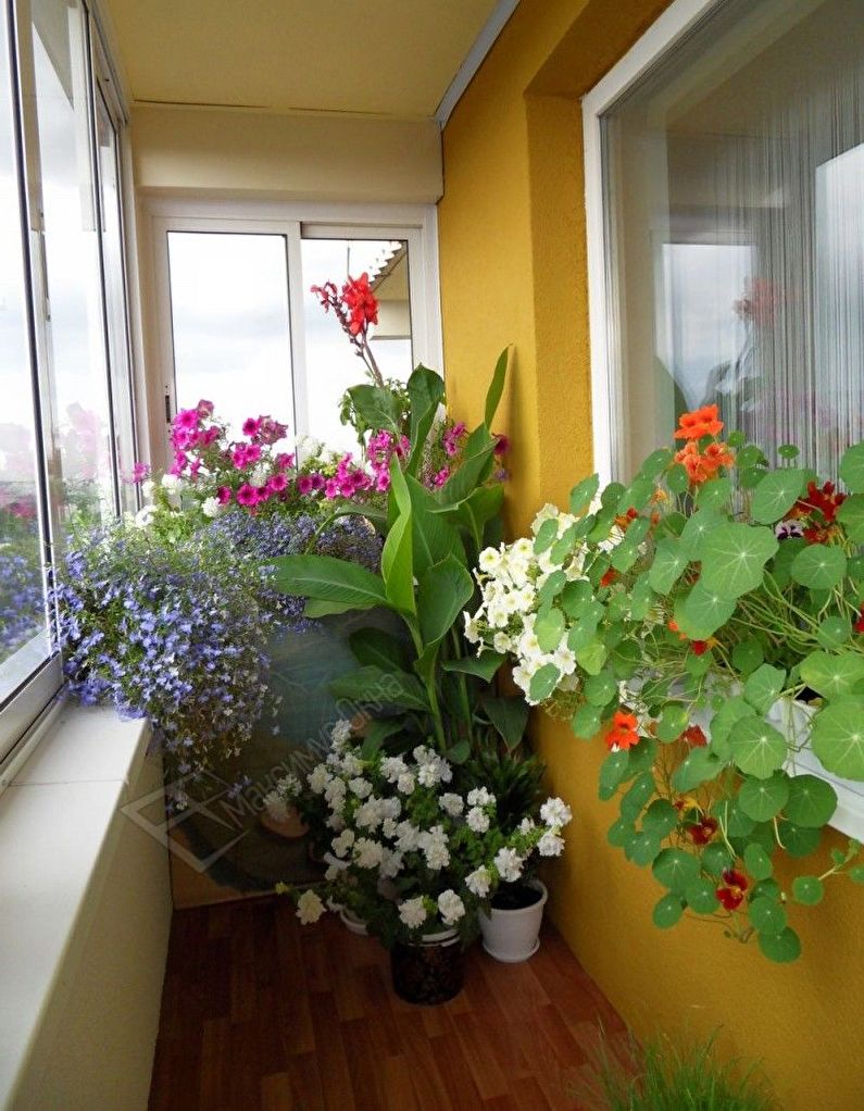 Ziemas dārzs uz balkona - interjera dizains