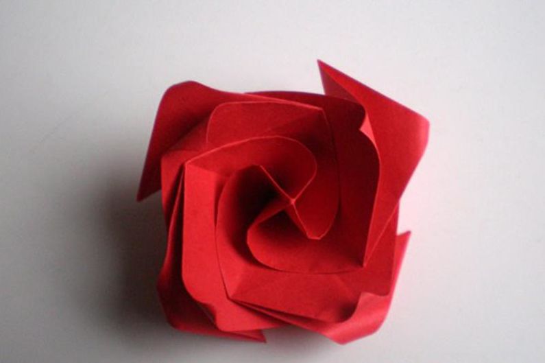 DIY do-it-yourself růže