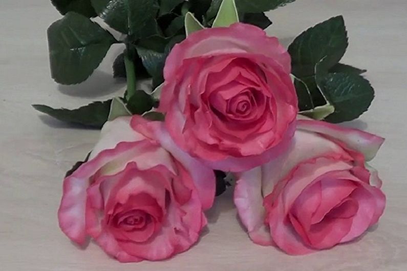 DIY ruže pre domácich majstrov - fotografia