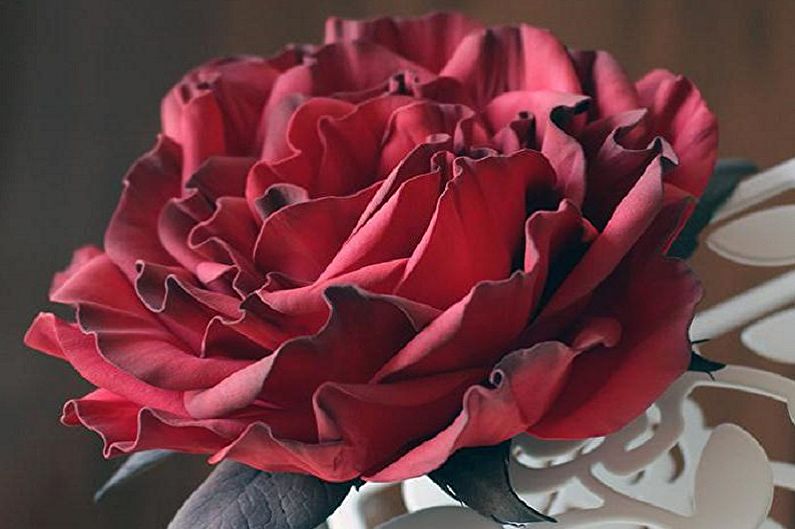 DIY csináld magad rózsák - fénykép